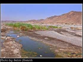 صور من ابداع اعضاء عمان فوتو