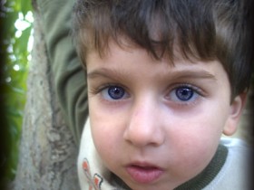 صور من ابداع اعضاء عمان فوتو