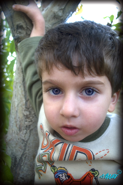 صور من ابداع اعضاء عمان فوتو