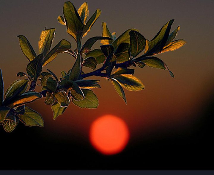 179808_187855507901779_165171746836822_520490_6534093_n