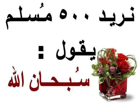 541013_10152629992140254_1332270384_n