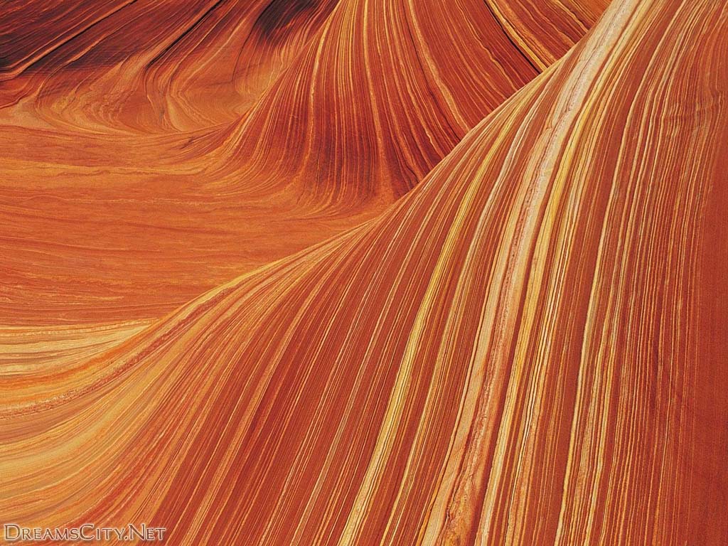 Woodenwallpaper11
