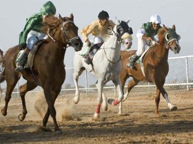 صور من ابداع اعضاء عمان فوتو