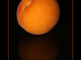 صور من ابداع اعضاء عمان فوتو