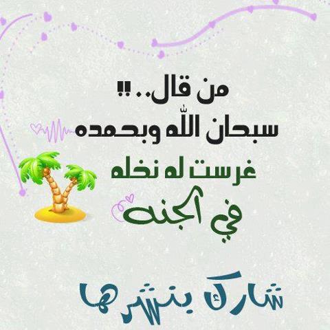 188963_10151406522405819_1295879008_n