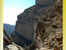 صور من ابداع اعضاء عمان فوتو