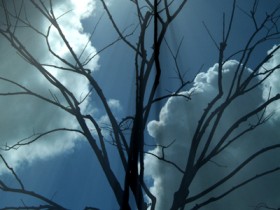 صور منوعة من الإنترنت