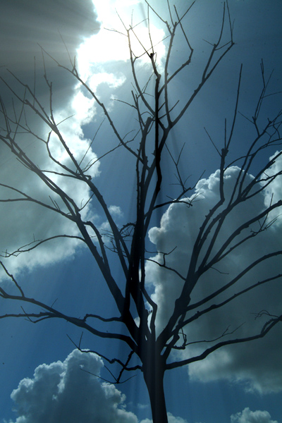 صور منوعة من الإنترنت