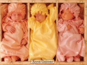 Baby-033