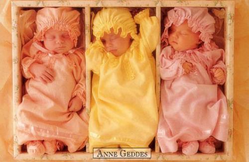 Baby-033