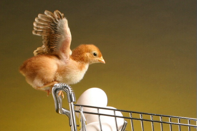 0403200802291197_9764111_1_