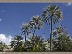 صور من ابداع اعضاء عمان فوتو