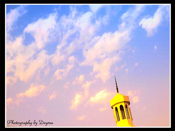 صور من ابداع اعضاء عمان فوتو