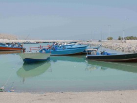صور من ابداع اعضاء عمان فوتو