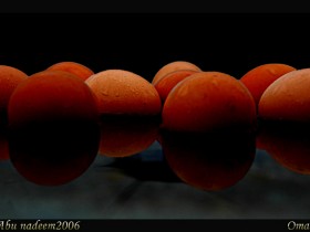 صور من ابداع اعضاء عمان فوتو