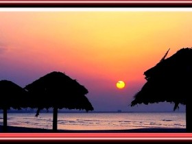 صور من ابداع اعضاء عمان فوتو