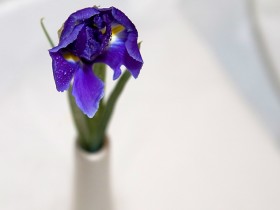 صور منوعة من الإنترنت