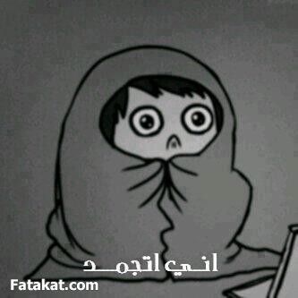 186690484_15043264_55965400