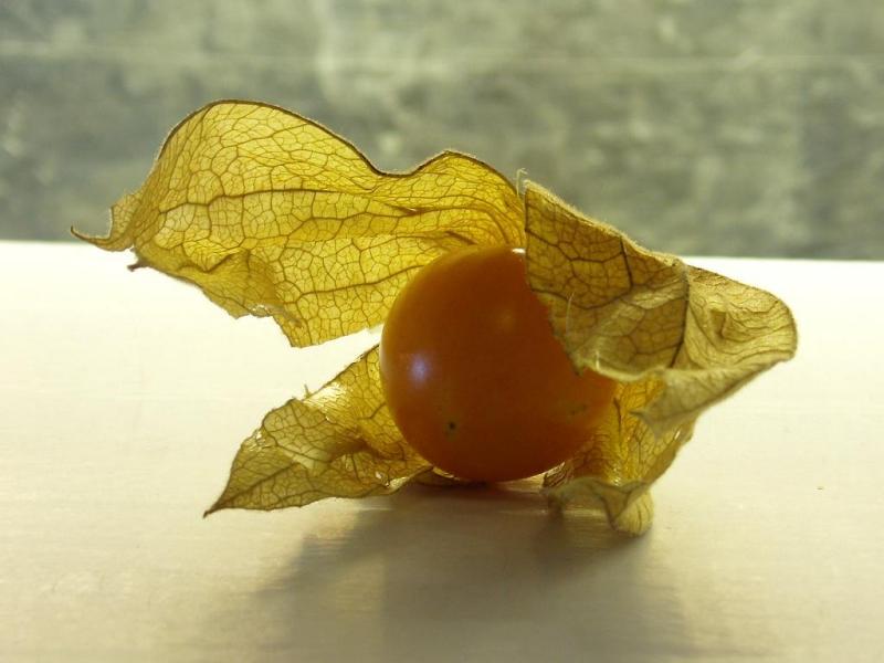 طماطة لابسة عباية !!!!!