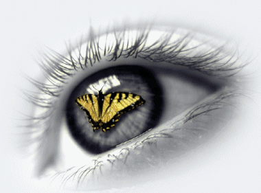 btterfly077_1_