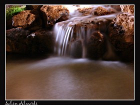 صور من ابداع اعضاء عمان فوتو