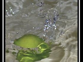 صور من ابداع اعضاء عمان فوتو