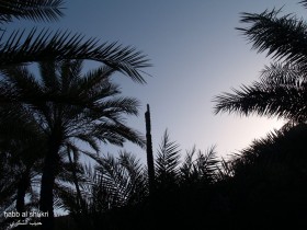 عين