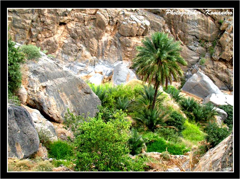 مسفاة العبريين