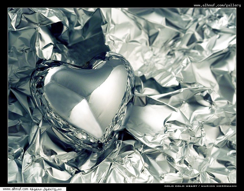 nice_pic_design_photo_29_