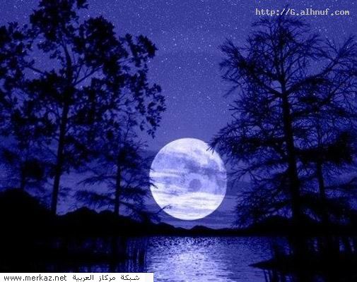 nice_pic_design_photo_54_1_