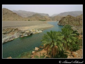 صور من ابداع اعضاء عمان فوتو