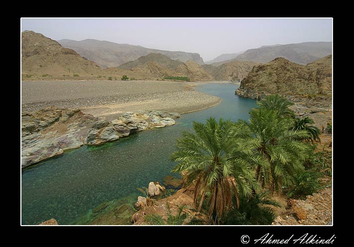 صور من ابداع اعضاء عمان فوتو