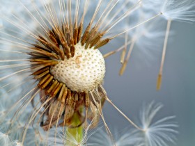 صور منوعة من الإنترنت