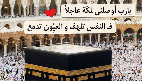 1704_10151285264960493_1579150057_n