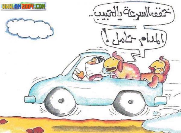 aqla3 frfsh (8)