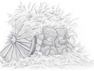 grey-bear-hay-love_1_
