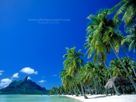 BoraBoraWallpaper_small_1_