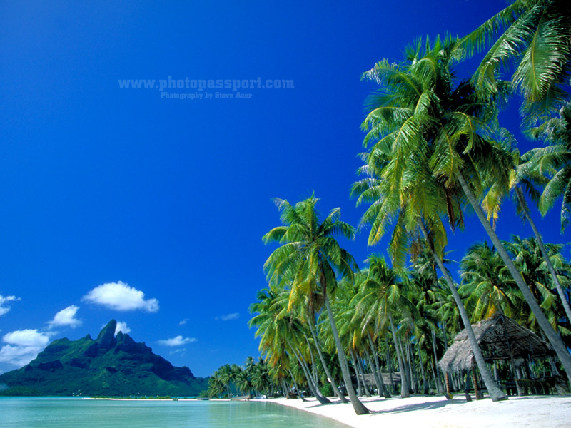 BoraBoraWallpaper_small_1_