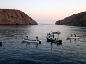 صور من ابداع اعضاء عمان فوتو