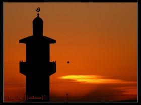 صور من ابداع اعضاء عمان فوتو