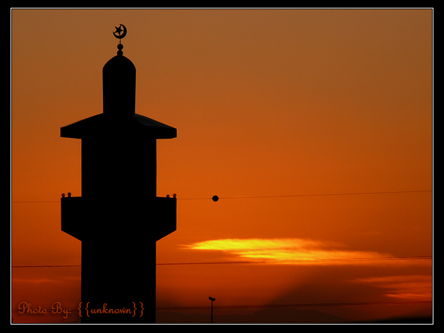 صور من ابداع اعضاء عمان فوتو
