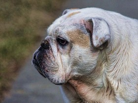 صور منوعة من الإنترنت