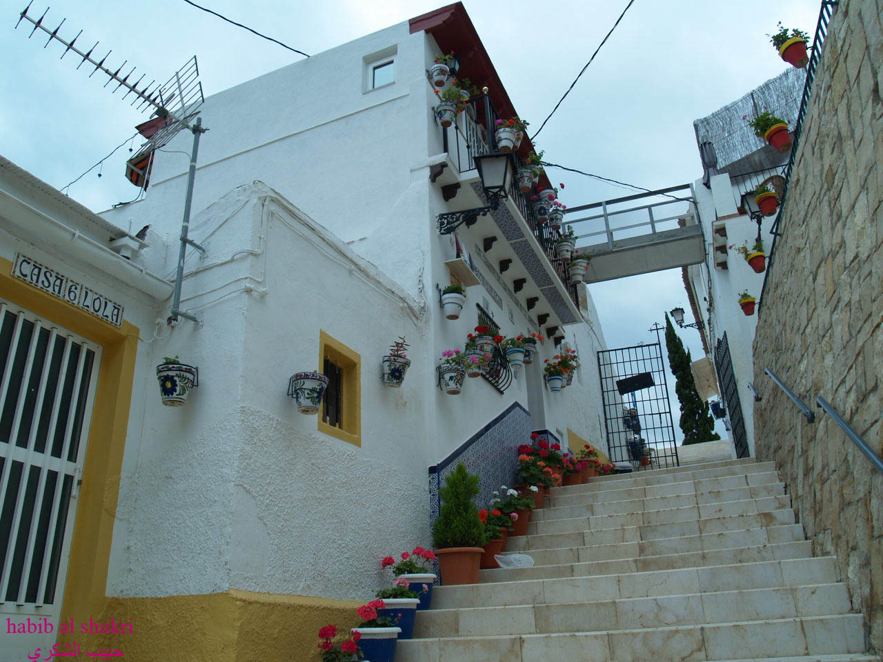 روعة 9