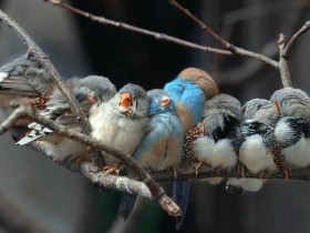 image00414
