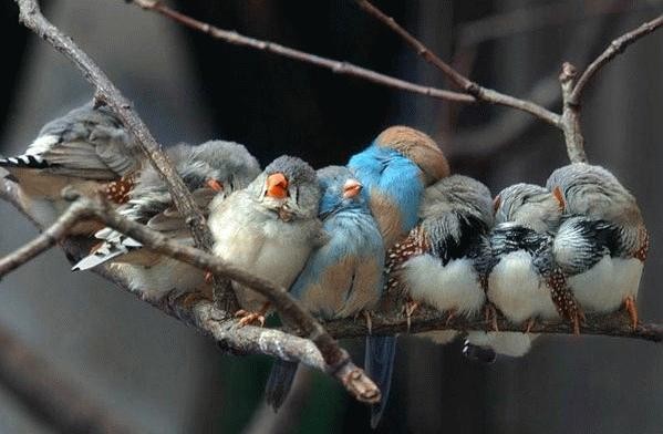 image00414