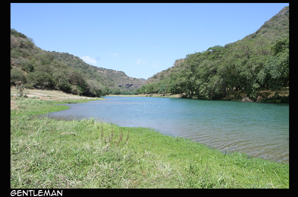 صور من ابداع اعضاء عمان فوتو