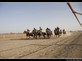 صور من ابداع اعضاء عمان فوتو