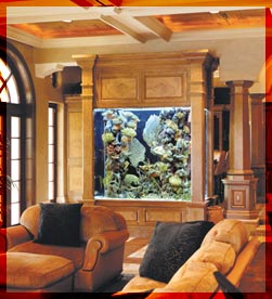 حوض سمك وسط الصالة