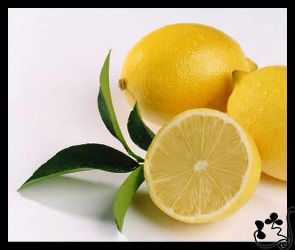 صور من ابداع اعضاء عمان فوتو