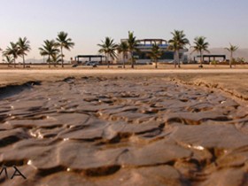 صور من ابداع اعضاء عمان فوتو
